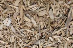 biomass boilers Dunure